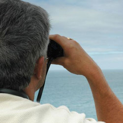 Maritime Security Services